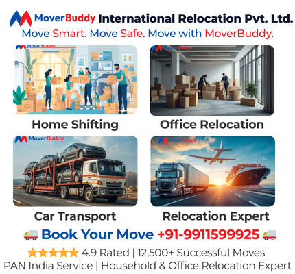 Professional packers and movers loading boxes into a moving truck